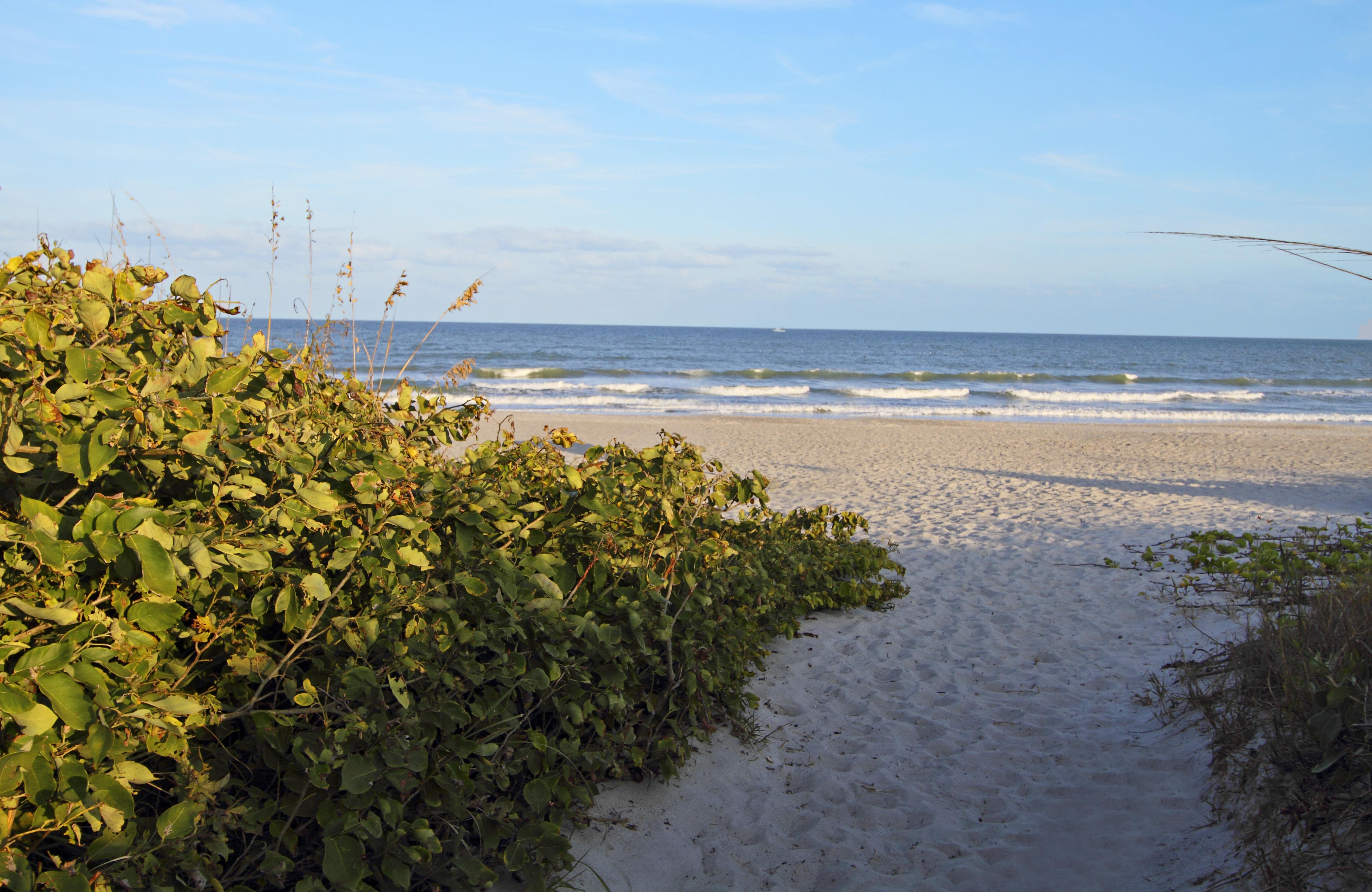 Courtyard By Marriott Cocoa Beach Cape Canaveral Hotel Exterior photo